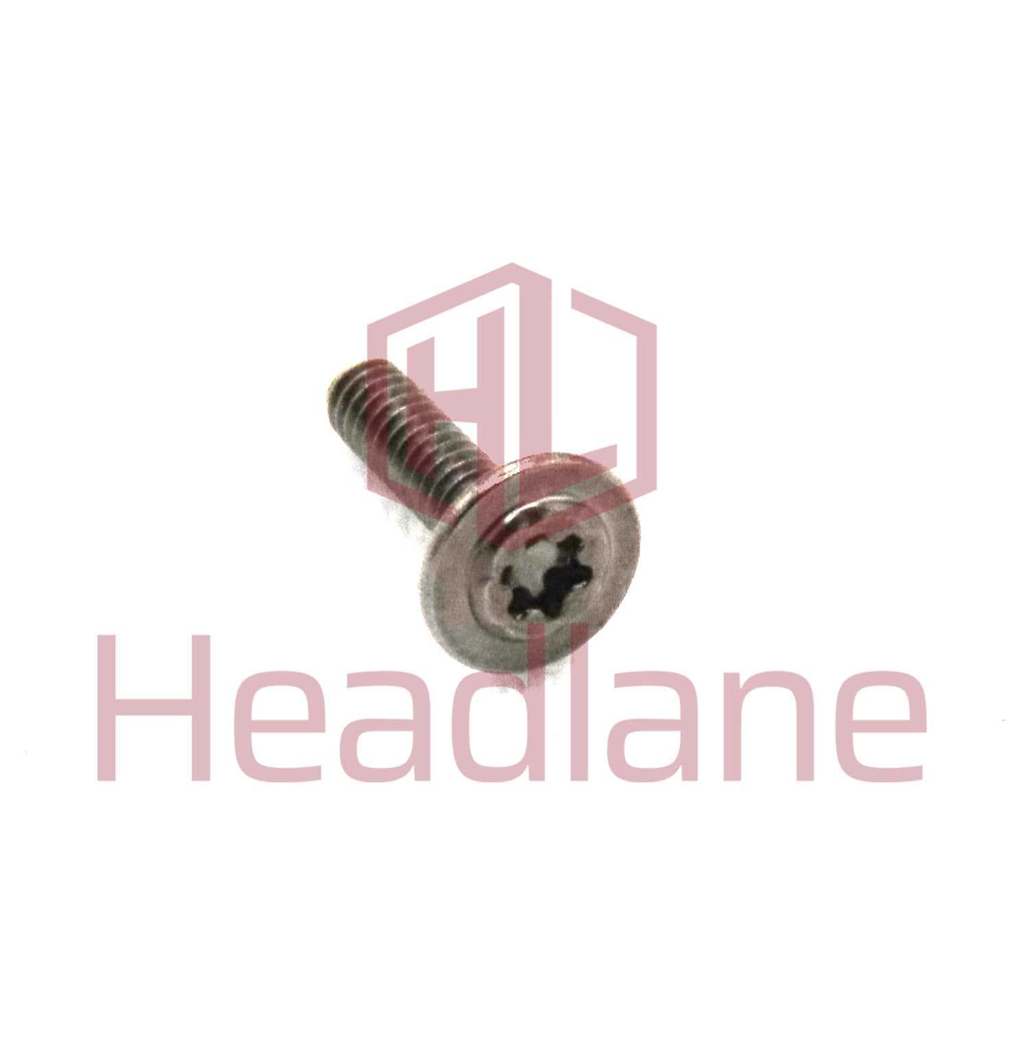 Google Pixel 6 Pro / Pixel 7 Pro / Pixel 7 Heatsink M1.2, 4.55L Screw - G250-05753-00